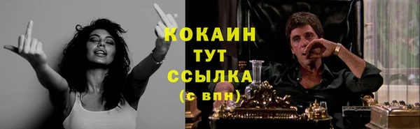 ПСИЛОЦИБИНОВЫЕ ГРИБЫ Баксан