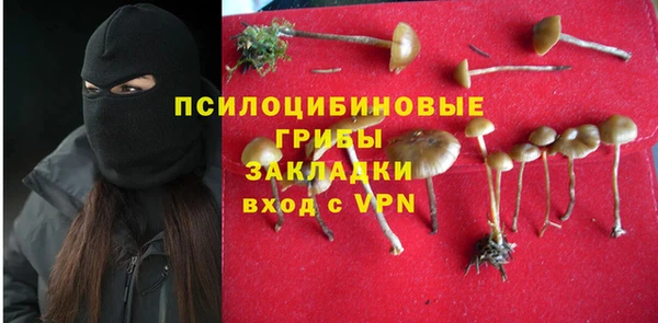 ПСИЛОЦИБИНОВЫЕ ГРИБЫ Баксан
