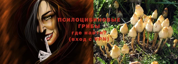 ПСИЛОЦИБИНОВЫЕ ГРИБЫ Баксан