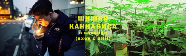 ПСИЛОЦИБИНОВЫЕ ГРИБЫ Баксан