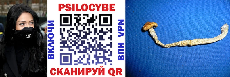 Псилоцибиновые грибы Cubensis  Георгиевск 